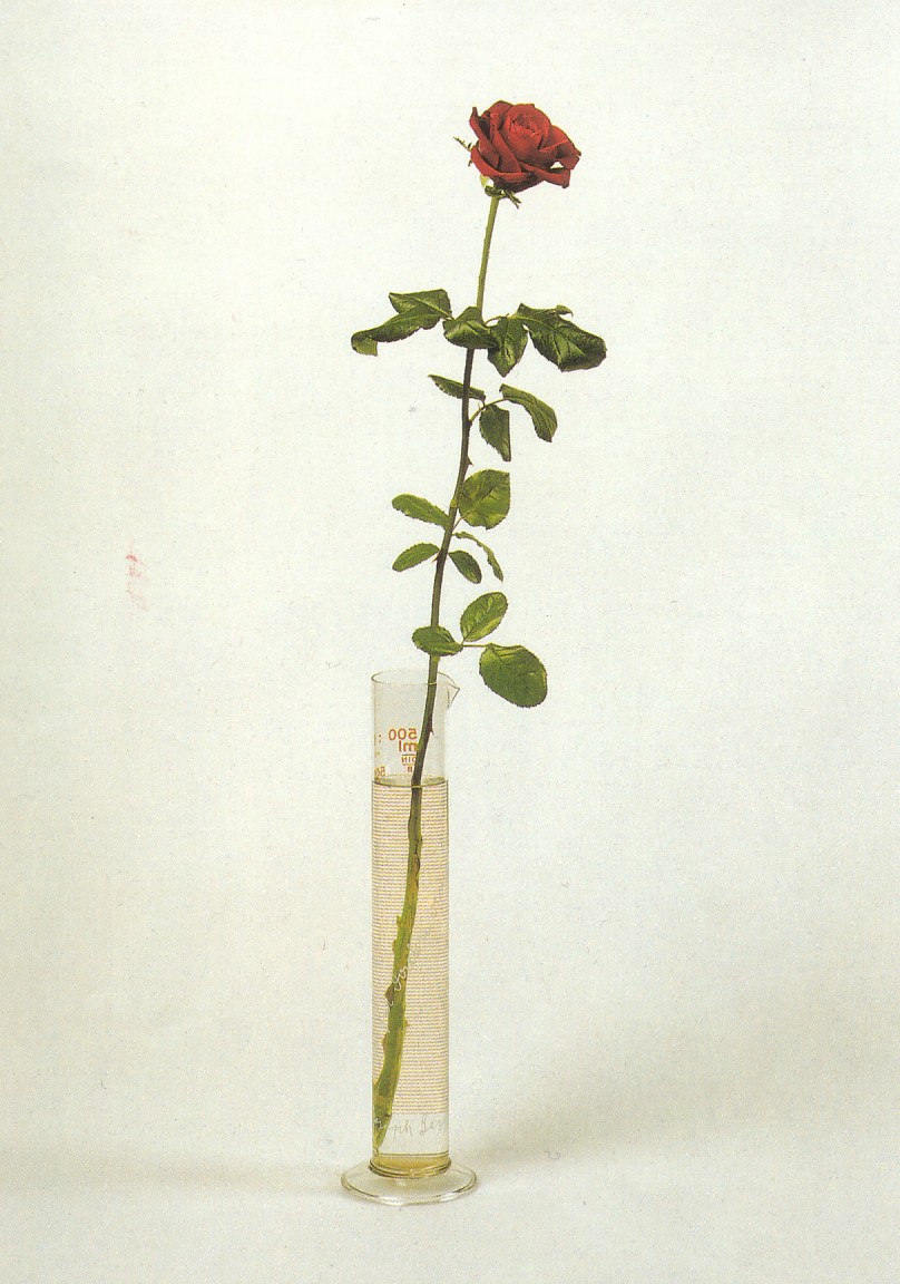 Rose von Beuys
